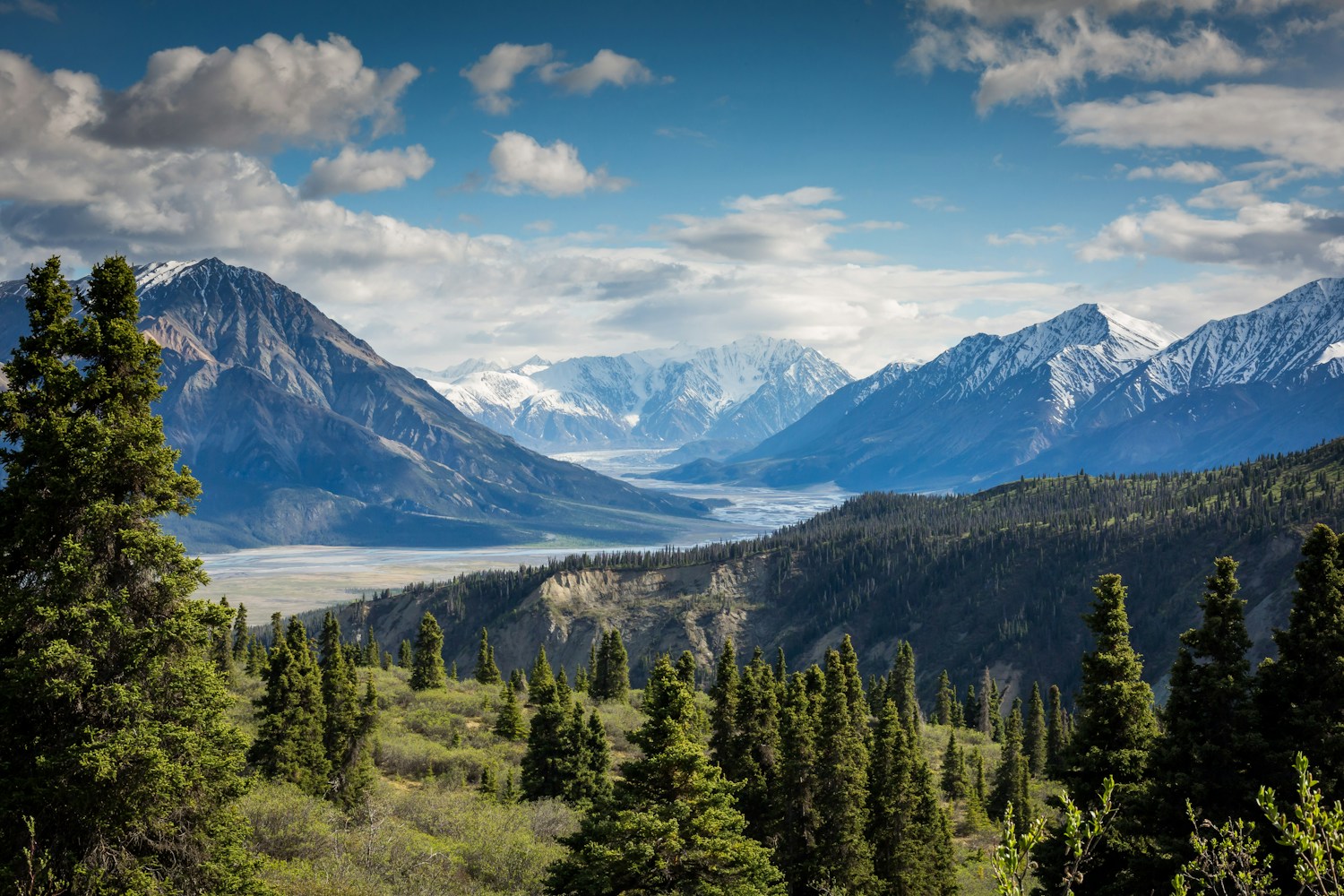 A broad mountain valley surrounded by forest and snow-covered peaks